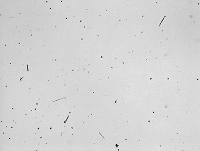 Image of needle-like crystals in the pharmaceutical ointment.