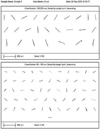 Example of a particle report.