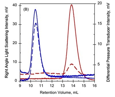 A. UV-absorption (plain curves) and deflection refractometer (dotted curves) chromatograms of apo-RD and holo-RD. B. right angle light scattering (plain curves) and differential pressure chromatograms (dotted curves) of apo-RD and holo-RD.