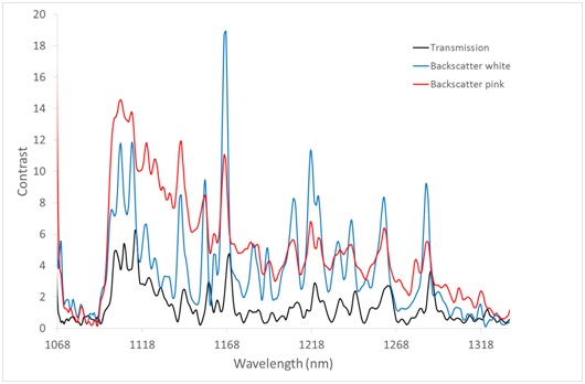 Raman spectra of Ibuprofen in all configurations, Black line = Transmission, Red line = Pink side backscatter, Blue Line = white side backscatter.