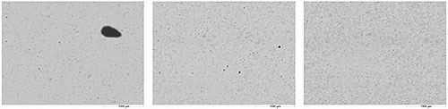 Hydro Sight Images from the beginning, middle and end of the dispersion process.