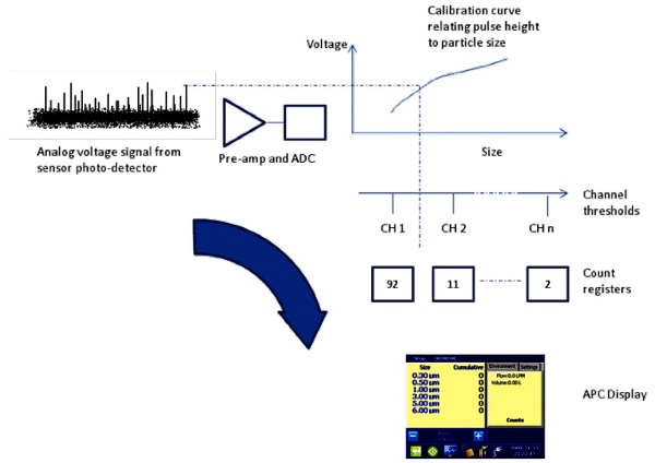 Conversion of electrical pulses to particle counts.