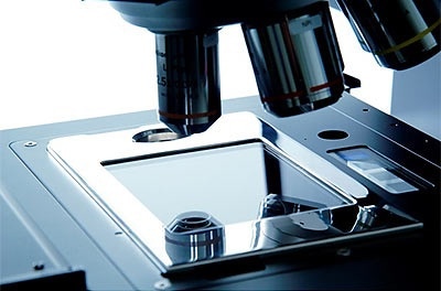 Schematic of wet cell accessory on the Morphologi G3.