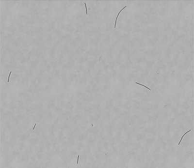 Portion of composite image.