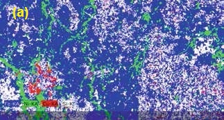 Sample from the Sudbury Igneous Complex Parkin dike; (a) Composite Micro-XRF map of iron K, nickel K, copper K, and silicon K of a thick section (44 x 24 mm2, M4 TORNADO Micro-XRF spectrometer with 2 x 30mm2 XFlash® SDD, 50kV, 600µA, 310kcps, 2h, 20mbar chamber pressure, 2210 x 1185 pixels2, 20µm pixel size, and 2ms dwell time, 120min total measurement time). (b) Micro- XRF map of cobalt K. Note the association of cobalt and nickel with pentlandite (yellow arrow) and arsenide grains (red arrow).