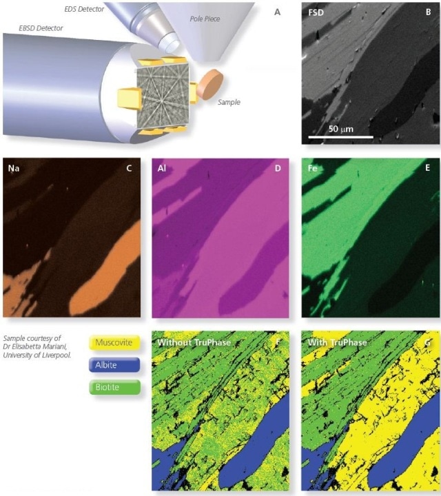 Combined EDS and EBSD analysis of a geological sample. This area of the sample contains 3 mineral phases: albite, biotite and muscovite mica. Biotite and muscovite mica have very similar crystal structures and therefore can be difficult to differentiate on the basis of traditional EBSD.