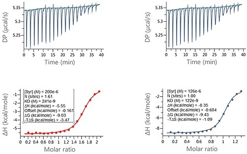 Examples of ITC data for the titration of a LMW ligand into a protein where the ligand concentration was in significant error. Raw ITC data (upper panels) and integrated data fitted to One-set-of-sites interaction model (lower panels). The fit was conducted (A) without and (B) with accounting for error in compound concentration. The insets in the lower panel contain the fitted parameters returned by the analysis software.