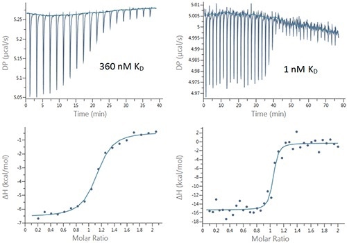 Raw (top) and integrated heat (bottom) plots for the titration of 200µM Furosemide into 20µM bCAII (left) using 2µL injections and 25µM ethoxzolamide into 2.5µM bCAII (right) using 1µL injections.