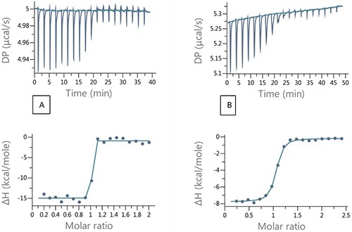 Raw and integrated ITC data for (A) direct titration of 200 µM EZA into 20µM bCAII and (B) Competition titration 200 µM EZA into 20µM bCAII and 100 µM FUR.