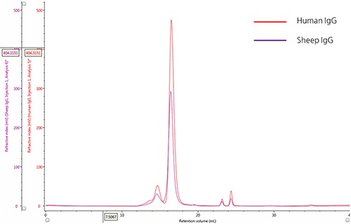 igg sec exclusion chromatography peak column aggregates human chromatograms detection uv monomers representative sheep overlay purple characterizing comparing calibration multi
