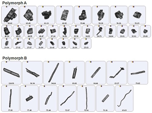 Automated imaging is an efficient technique for differentiating polymorphs of a drug substance.