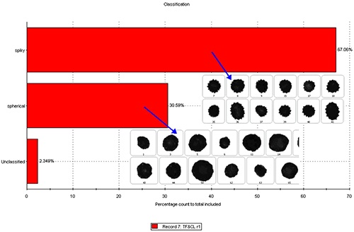 Results of the classification of the mixed samples into ‘spiky’ and ‘spherical’ classes along with example particle images.