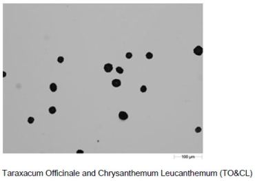Example field of view images of the three dispersed pollen samples taken with the 10X objective.