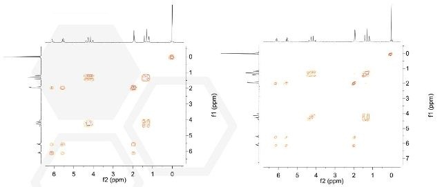 Left: Single scan COSY spectrum of ethylmethacrylate. Right: High resolution COSY-45 ethyl methacrylate 5 wt% in CDCl3