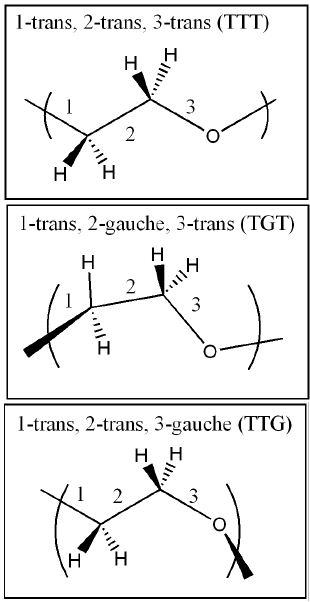 Three possible poly(ethylene glycol) conformations.