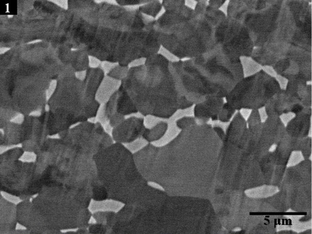 Backscattered electron image