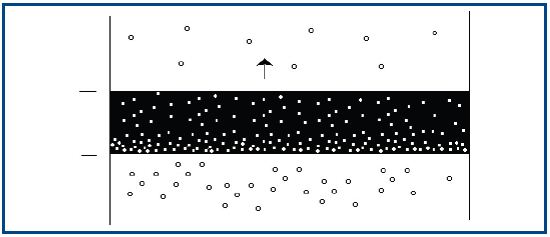 water molecules