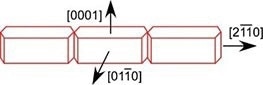 Microfiber anisotropic growth model.
