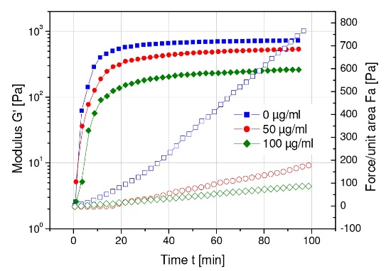 Effects of tetrameric concanavalin A on the clot rigidity (G’) and contractile force of platelet-fibrin clots
