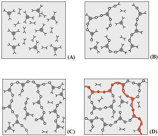 Schematic representation of structural development during thermoset curing: (A) unreacted monomers; (B) formation of small branched molecules; (C) the gel point: a path of covalent bonds exists across the sample; (D) the cured, cross linked polymer with some unreacted groups and reactants.