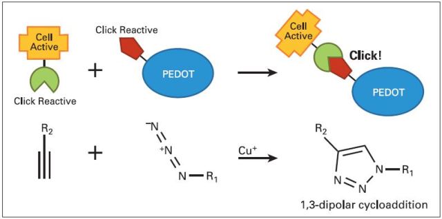 Components and principle of ‘click’ chemistry