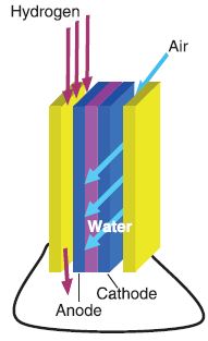 Schematic of a single element of a fuel cell stack. The separators are the outer plates (in yellow) of the cell