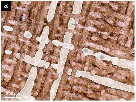 Microstructure formation appropriate to laser direction for SLM samples, a) X3NiCoMoTi18-9-5 (1.2709), SLM, V2A-etchant, cross-section 100×; b) AlSi10Mg, SLM, 10%-NaOH etched, longitudinal section, 100×