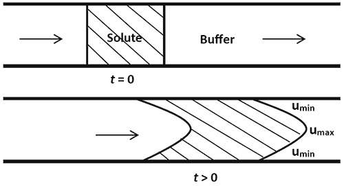 Axial spreading of the solute due to convection.