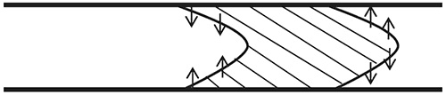 The role of radial diffusion.
