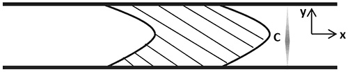 The concentration is averaged over the y-direction, perpendicular to the flow axis x.