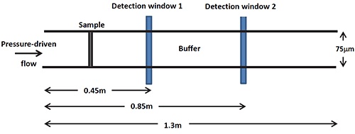 A schematic of the Malvern Panalytical Viscosizer measurement set-up.