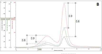 Multi-detector chromatograms: (B) Overlay of RI (red) and light scattering responses (green and black),
