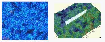 eta optical profilers exhibit true film colors.