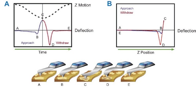 In PeakForce Tapping Mode the AFM probe is modulated at low frequency (1-2 kHz). (A) As the probe is brought into contact with the surface, the feedback signal is the maximum or “peak” force applied to the surface. (B) If the motion of the probe is considered in terms of Z position, one is essentially performing a force curve at every position of the sample surface.