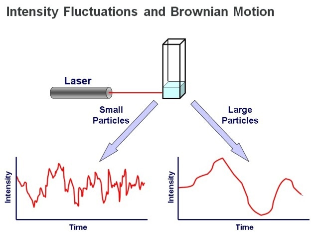 DLS measurements determine particle size from the pattern of intensity fluctuations in scattered light.