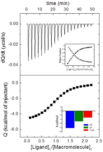 Calorimetric titration for a macromolecule binding a ligand with the following binding parameters: Ka = 106 M-1, ΔH = -5 kcal/mol. Upper plot: thermogram (thermal power required to maintain a zero temperature difference between reference and sample cells in the calorimeter) showing the characteristic sequence of peaks corresponding to each ligand injection. Lower plot: binding isotherm (normalized heats per peak as a function of molar ratio, [L] T /[M]T , in the calorimetric cell. Upper inset: evolution of the molar fraction of free macromolecule (open squares) and macromolecule-ligand complex (closed squares) in the calorimetric cell as the titration progresses. Lower inset: thermodynamic binding profile for the macromolecule-ligand interaction; in this case both enthalpic and entropic contributions are favorable to the binding. As it can be clearly observed, the average value of the last peaks is not a good estimate of the injection background heat (the so-called "heat of dilution").