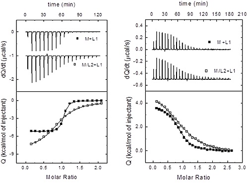 Assessing heterotropic interactions by ITC. For a macromolecule binding two different ligands, three scenarios are possible: independent binding, cooperative binding and competitive binding (maximal negative cooperativity)(Left) Titration of macromolecule (30 pM) with ligand 1 (480 pM) in the absence (closed squares) and the presence (220 pM, open squares) of ligand 2. The analysis of both titrations using a model with a single binding site for ligand 1 provides the following parameters: Ka1 = 1.1-107 M-1, ΔH1 = -5.2 kcal/mol, Ka12 = 3.1-101 M-1, ΔH12 = -8.4 kcal/mol. A third titration with ligand 2 (not shown) provides the following parameters: Ka2 = 1.5-105 M-1, ΔH2 = 3.1 kcal/mol. Because Eq. 15 does not hold, the binding of ligand 1 and ligand 2 does not occur independently. On the other hand, considering 205 pM as the average concentration for free ligand2 along the titration with ligand 1, applying Eq. 16 values for the binding parameters for ligand 1 in the presence of ligand 2 can be calculated, Ka12 = 3.5-105 M-1 and ΔH12 = -8.2 kcal/mol, which are very close (within experimental error) to those directly determined (that is, Eq. 16 is fulfilled). Therefore, it can be concluded that ligand 1 and ligand 2 bind competitively (a ≈ 0, Ah ≈ 0). (Right) Titration of macromolecule (21 pM) with ligand 1 (260 pM) in the absence (closed squares) and the presence (50 pM, open squares) of ligand 2. The analysis of both titrations using a model with a single binding site for ligand 1 provides the following parameters: Ka1 = 9.2-105 M-1, ΔH1 = 3.7 kcal/mol, Ka12 = 2.3-105 M-1 , ΔH12 = 5.3 kcal/mol. A third titration with ligand 2 (not shown) provides the following parameters: Ka,2 = 2.7•105 M-1, ΔH2 = -2.1 kcal/mol. Because Eq. 15 does not hold, the binding of ligand 1 and ligand 2 does not occur independently. On the other hand, considering 40 µM as the average concentration for free ligand 2 along the titration with ligand 1, applying Eq. 16 values for the binding parameters for ligand 1 in the presence of ligand 2 can be calculated, Ka,12 = 7.8•104 M-1 and ΔH12 = 5.6 kcal/mol, which are significantly different (within experimental error) to those directly determined (that is, Eq. 16 is not fulfilled). Therefore, it can be concluded that ligand 1 and ligand 2 bind cooperatively. Because the binding affinity of ligand 1 decreases by the presence of ligand 2, the binding cooperativity is negative. Using Eq. 16 the cooperativity parameters can be estimated: α = 0.18, Δh = 1.6 kcal/mol (i.e. if ligand 2 is bound to the macromolecule, the binding affinity of ligand 1 is reduced by a factor of 5, and its binding enthalpy is increased by 1.6 kcal/mol).