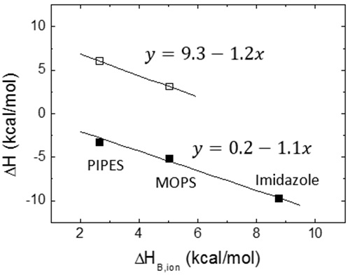 Proton exchange coupled to ligand binding constitutes the molecular basis for the pH dependency of ligand binding interactions. Calorimetric titrations were performed for two different ligands (open and close squares) under the same conditions (25°C, pH 7, NaCl 150 mM) employing buffers with similar pKa but different ionization enthalpies (PIPES 2.68 kcal/mol, MOPS 5.05 kcal/mol, imidazole 8.77 kcal/mol). Because the measured enthalpy is markedly dependent on the ionization enthalpy of the buffer with a negative slope, it is concluded that the formation of the macromolecule-ligand complex is accompanied by a net deprotonation. The slope is similar for both ligands, close to 1, and, therefore, at least one proton is released from the complex to the bulk solution. However, the buffer-independent biding enthalpy is significantly different for both ligands: 9.3 kcal/mol and 0.2 kcal/mol. In the vicinity of pH 7 (at least | ApH | < 2), according to Eq. 13 an increase/decrease in pH will lead to an increase/decrease in the binding affinity for both ligands; in particular, a change of 1 unit in pH will increase/decrease the equilibrium association constant by a factor of 10, approximately.