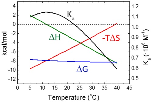Temperature dependency of the thermodynamic binding profile for a macromolecule-ligand interaction with the following binding parameters: Ka = 106 M-1, AG = -8.2 kcal/mol, ΔH = -4 kcal/mol, -TAS = -4.2 kcal/mol, and ACP = -0.3 kcal/mol. The slope of ΔH is equal to ACP, while the slope of -TAS is -(ACP+AS); because usually ACP is considerably larger than AS (within the experimental temperature range), the slopes of the enthalpic and the entropic contributions are very similar, resulting in a Gibbs energy of binding rather insensitive to temperature. Accordingly, it can be observed that the equilibrium association constant shows very little variation with temperature, which, together with the usual experimental uncertainty, makes the estimation of the binding enthalpy through the van