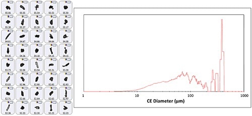Representative particle images from the polymorph acetaminophen mixture (left panel) and the size distribution (volume weighted, right panel).