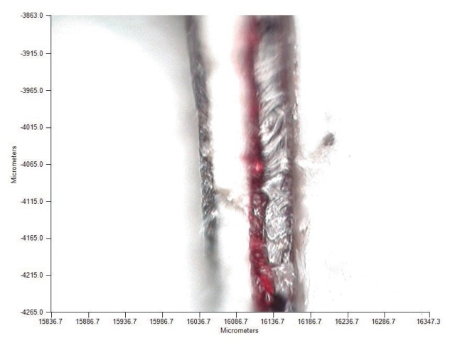 Visible image of cross section of a paint chip sample on IR microscope.