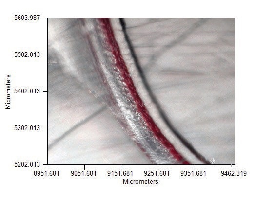 Microtomed paint chip sample is shown on KBr window for transmission measurement.