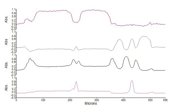Distribution of polymer types in laminate. From top to bottom polystyrene, polyethylene, ethylene-vinyl acetate copolymer and ethylene-vinyl alcohol copolymer.