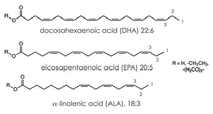 Examining the Constituents of Fish Oil Supplements Using the NMReady ...