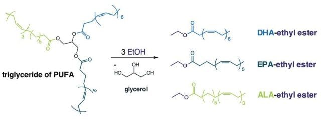 Transesterification reaction of a triglyceride of PUFA and ethanol.