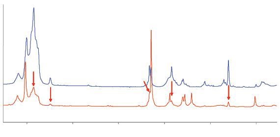 Raman spectra of C4 gases