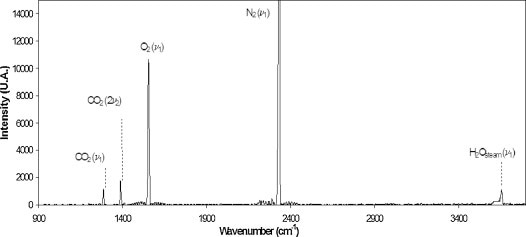A typical Raman spectrum measured at the site in this study.