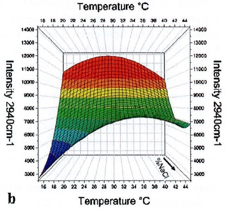 Surface plot of intensity of the 2940-cm-1 lysozyme Raman band with respect to temperature and NaCl concentration.