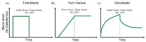 Illustration showing the strain response to an applied stress for (a) purely elastic material (b) purely viscous material (c) viscoelastic material.