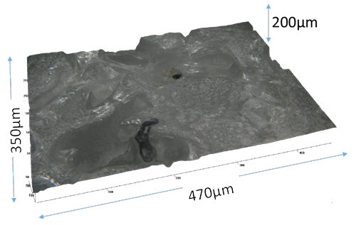 oly-urethane surface for CMP